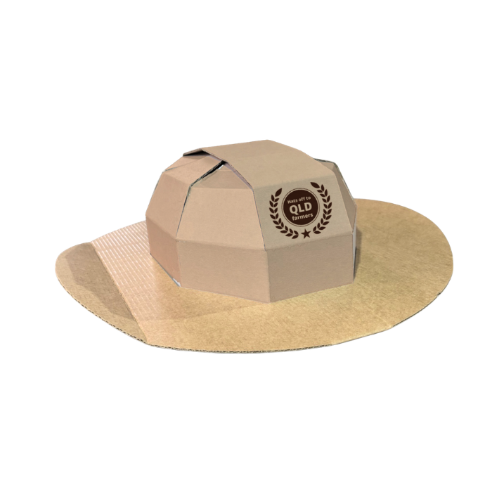 Cardboard Cowboy Hats & Wide Brim Hats
