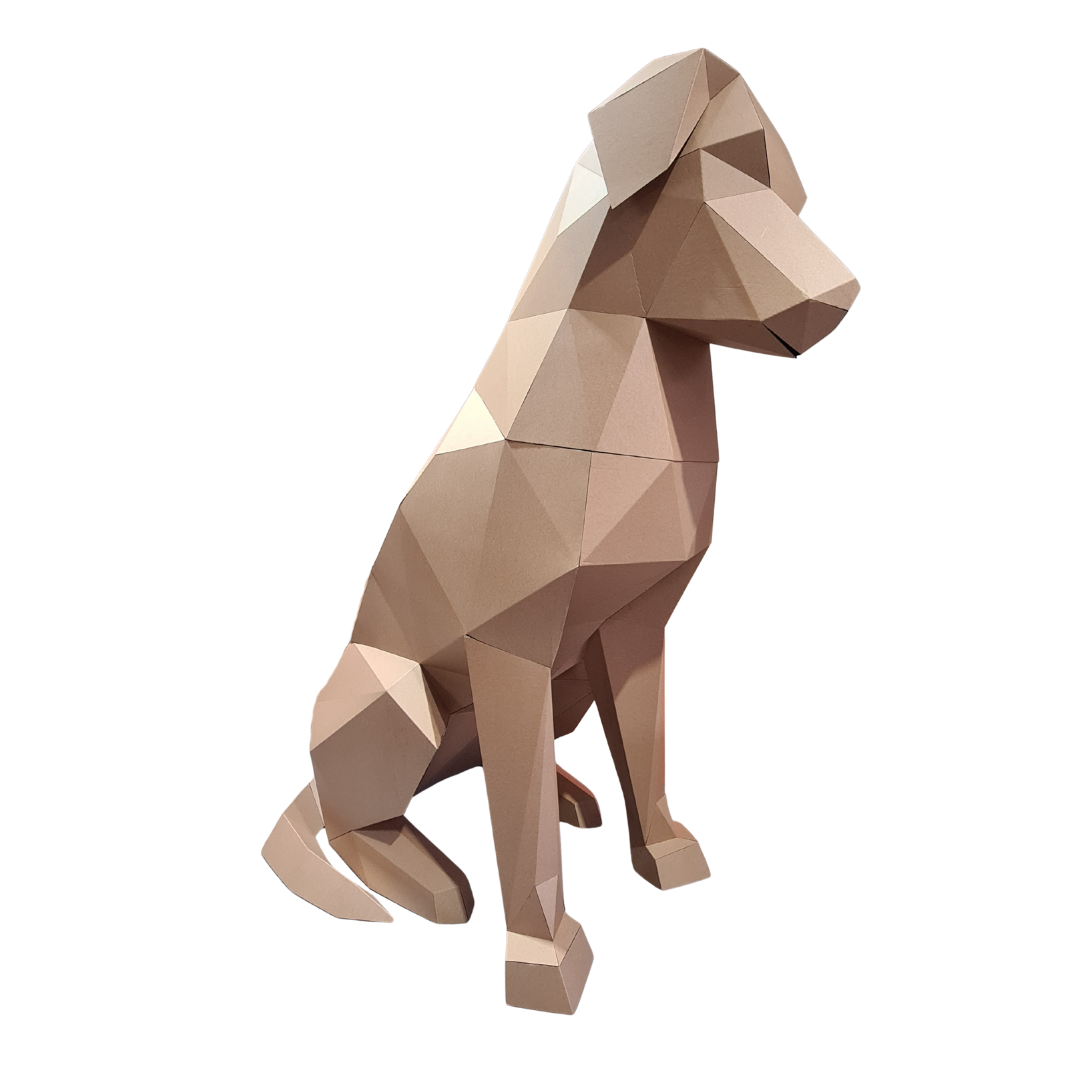 Cardboard Dog