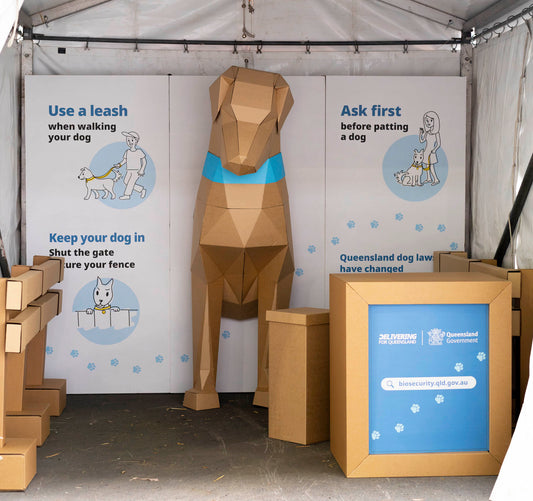 Cardboard Dog