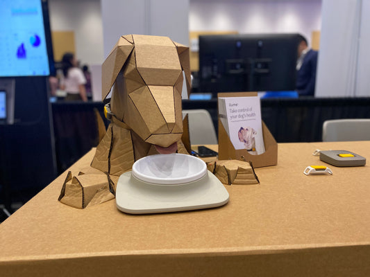 Cardboard at Events: Let's Talk Fire Safety