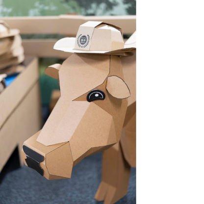 Cardboard Cowboy Hats & Wide Brim Hats