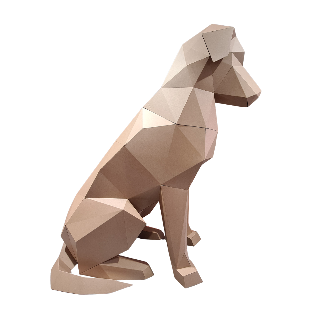 Cardboard Dog