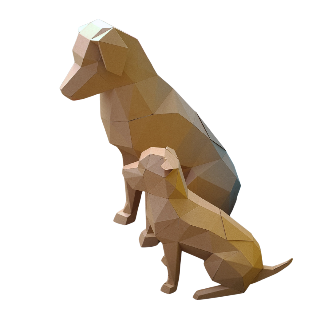 Cardboard Dog
