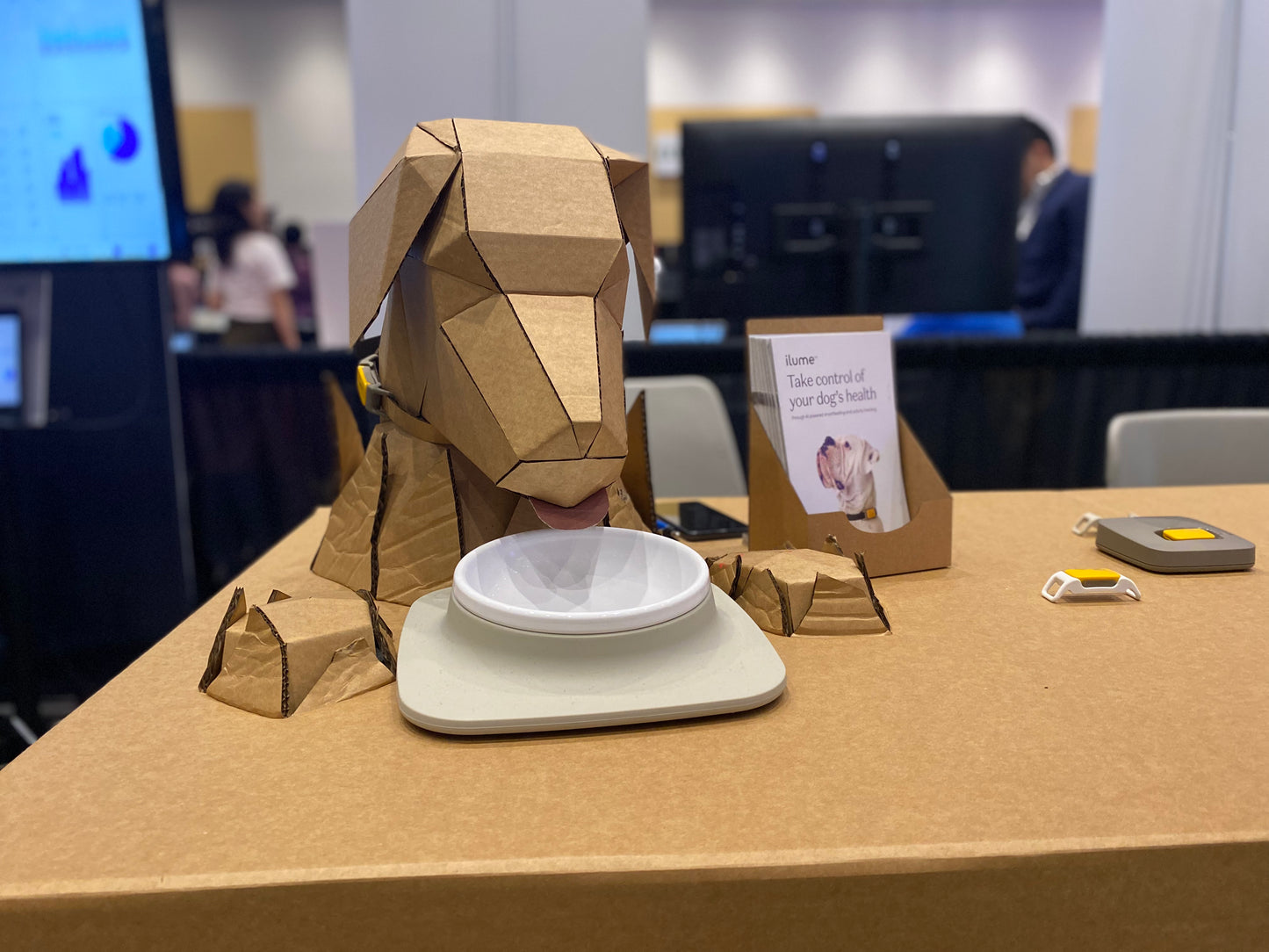 Cardboard Dog