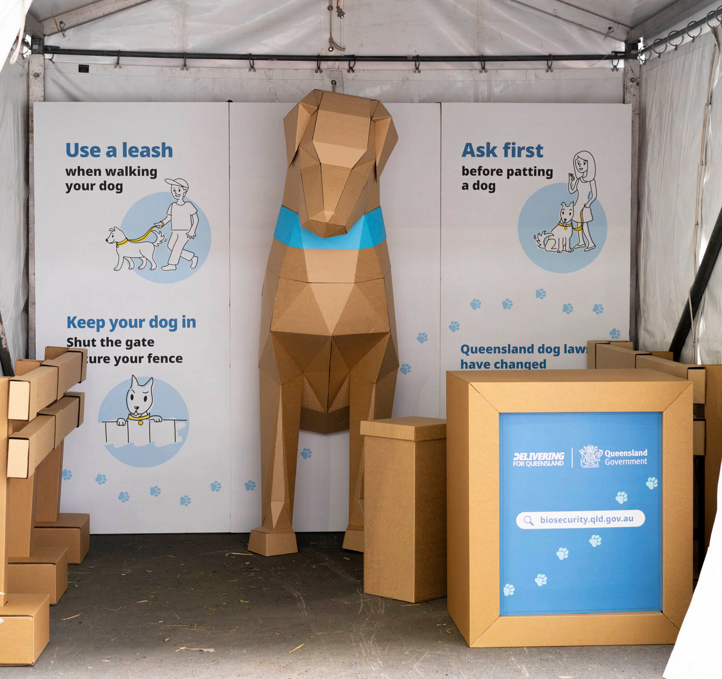 Cardboard Dog